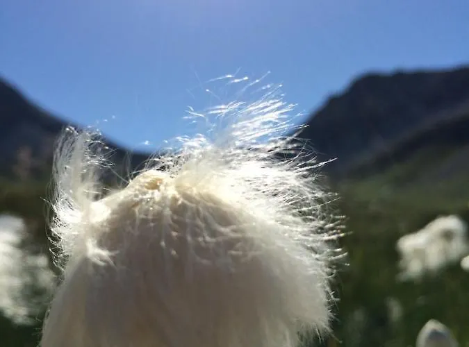 Apartamento Sternenhimmel Arosa