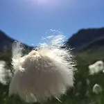 Appartement Sternenhimmel Arosa